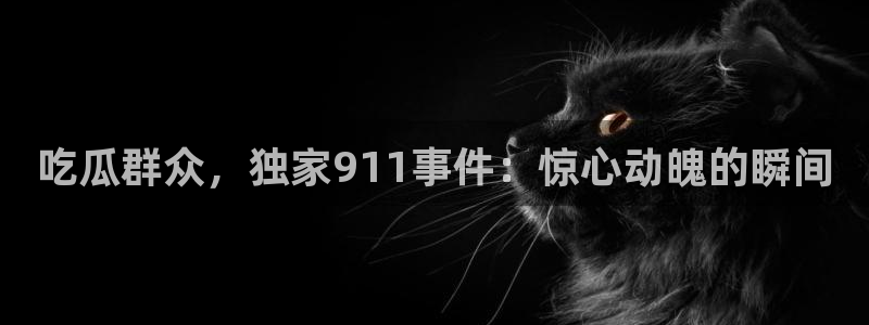 吃瓜www：吃瓜群众，独家911事件：惊心动魄的瞬间