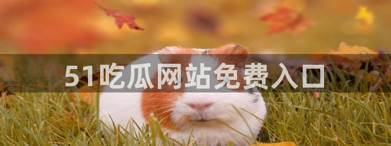 www.黑料