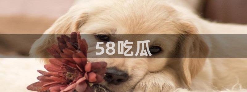 黑料黑料：58吃瓜