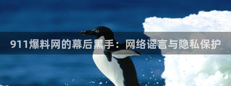 贝贝瓜可以炒着吃吗：911爆料网的幕后黑手：网络谣言与隐私保护