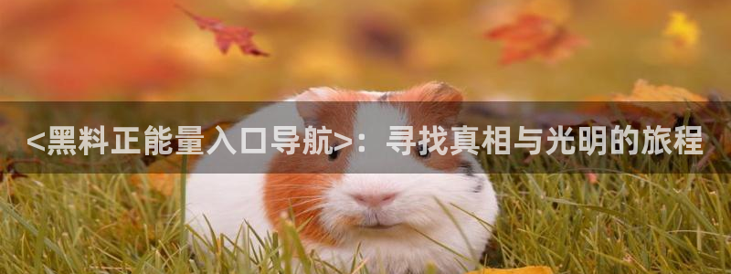吃瓜吃到自己头上：<黑料正能量入口导航>：寻找真相与光明的旅程