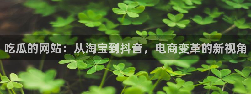 51国产吃瓜在线今日吃瓜：吃瓜的网站：从淘宝到抖音，电商变革的新视角