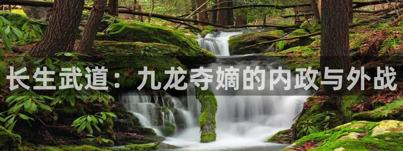 吃瓜今日吃瓜热门大瓜：长生武道：九龙夺嫡的内政与外战