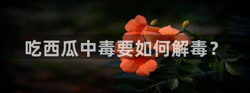 51吃瓜出品短剧怎么下载：吃西瓜中毒要如何解毒？