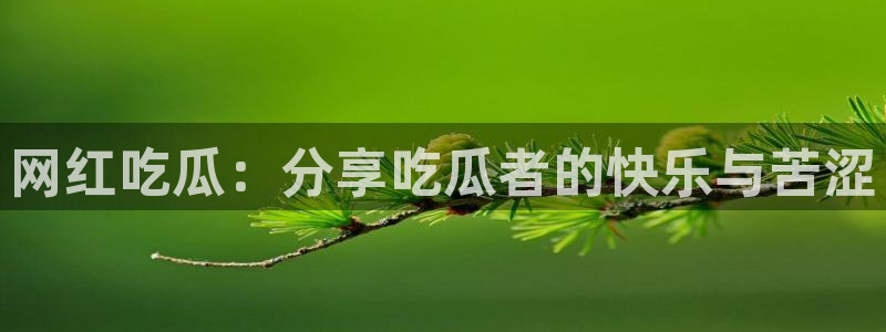 ccgg今日吃瓜：网红吃瓜：分享吃瓜者的快乐与苦涩