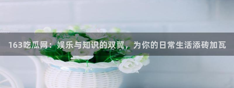 51吃瓜最新官网是多少