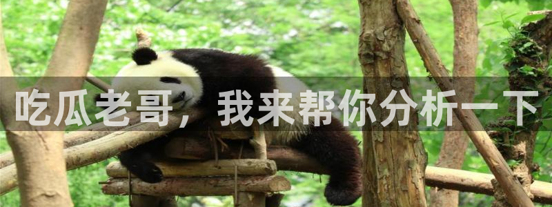 吃瓜网998.su永久有效：吃瓜老哥，我来帮你分析一下