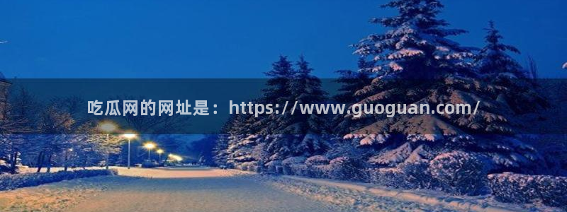 吃瓜的意思：吃瓜网的网址是：https://www.guoguan.com/