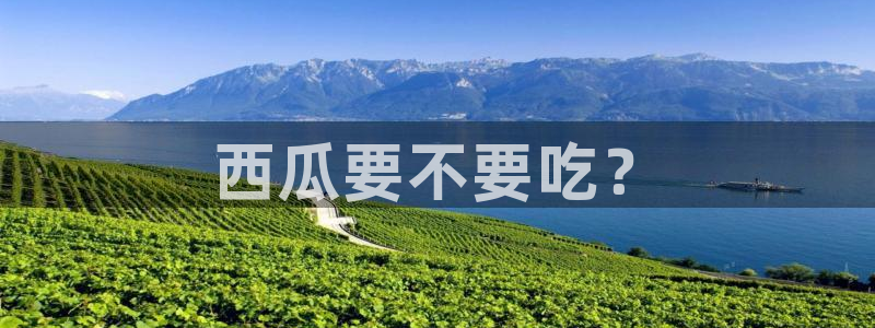 51吃瓜网ccgg：西瓜要不要吃？