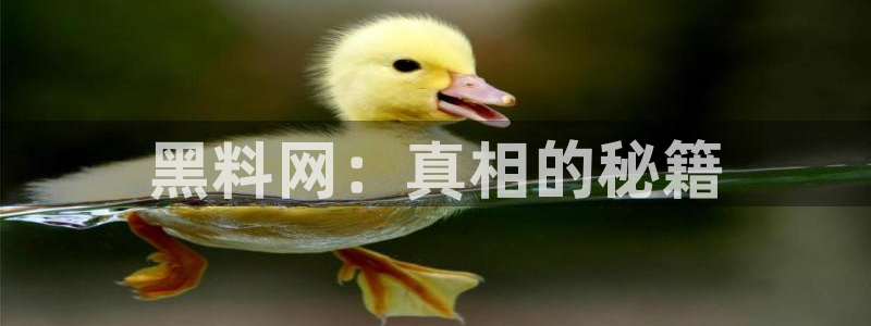 51cg吃瓜网今日吃瓜