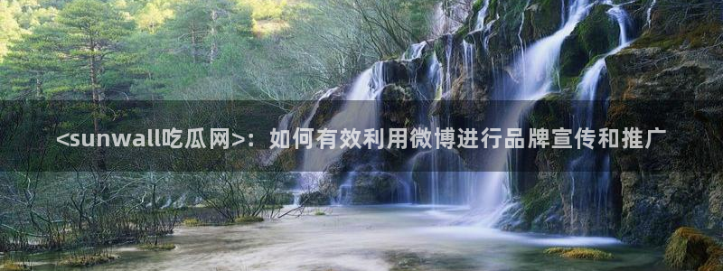 51吃瓜今日吃瓜入口最新：<sunwall吃瓜网>：如何有效利用微博进行品牌宣传和推广