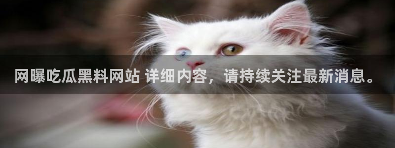 51cgfun吃瓜网怎么进：网曝吃瓜黑料网站 详细内容，请持续关注最新消息。