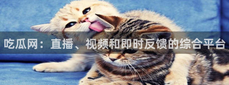 ccgg.mob今日吃瓜：吃瓜网：直播、视频和即时反馈的综合平台