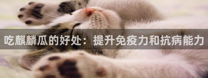 51国产吃瓜在线今日吃瓜：吃麒麟瓜的好处：提升免疫力和抗病能力